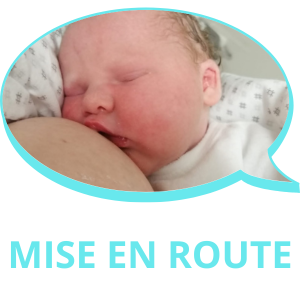 Mise en route montée colostrum lait engorgement tendu sein chaud douleur douloureux crevasse mamelon expression manuelle nouveau-né maternité clinique tétée à volonté peau-à-peau peau lactation